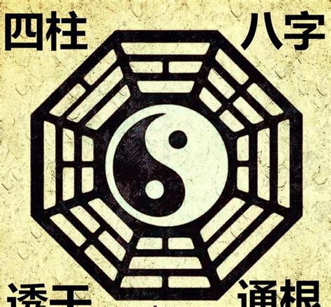 透出天干|读懂通根、透干、藏干，会断五行旺衰。